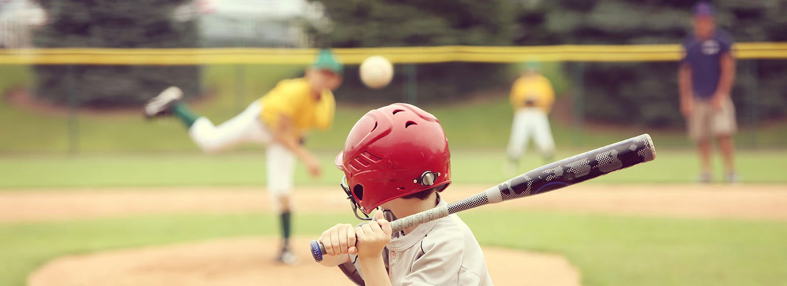 Baseball Bats Shop 2 Baseball Bats Shop -Baseball Bats Shop BM banner